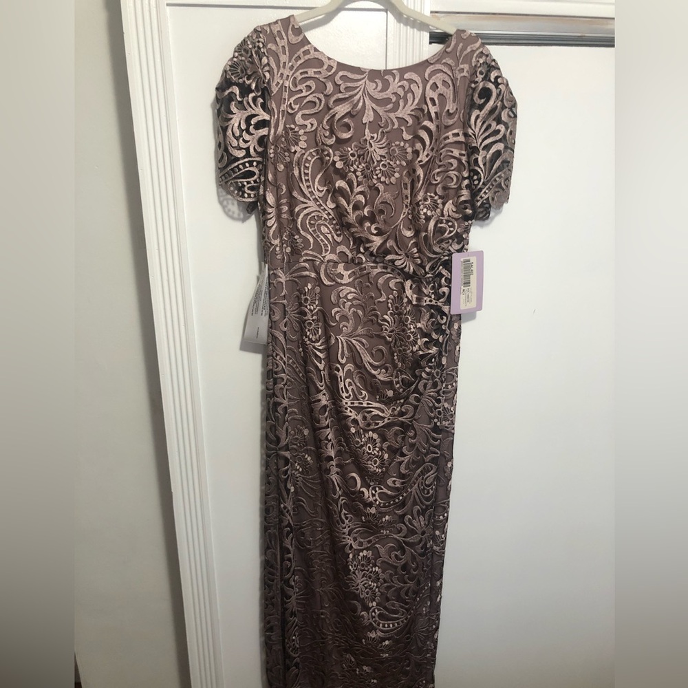JS Collections Lace Overlay Formal Evening Dress Size 14 Retail $198